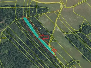Prodej lesa, Dolany, 3023 m2