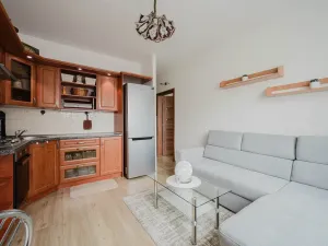 Prodej bytu 1+1, Pardubice - Zelené Předměstí, Palackého třída, 40 m2