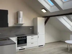 Pronájem bytu 2+kk, Plzeň - Východní Předměstí, Slovanská, 59 m2