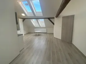 Pronájem bytu 2+kk, Plzeň - Východní Předměstí, Slovanská, 59 m2