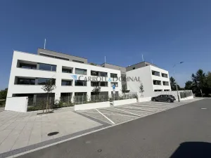 Pronájem bytu 2+kk, Ostrava - Slezská Ostrava, U Hájenky, 56 m2