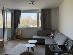 Pronájem bytu 2+kk, Ostrava - Slezská Ostrava, U Hájenky, 56 m2