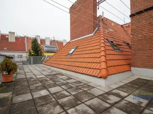 Pronájem atypického bytu, Praha - Nusle, Družnosti, 42 m2