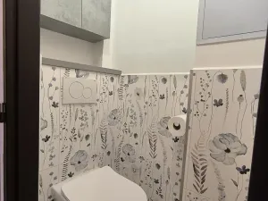 Pronájem bytu 2+kk, Hradec Králové, Dukelská třída, 54 m2