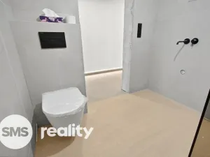 Prodej rodinného domu, Březí, Břízová, 212 m2