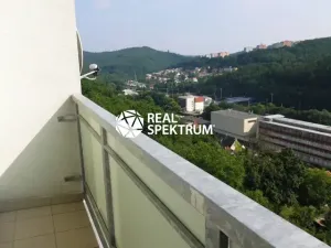 Prodej bytu 1+1, Adamov, 32 m2