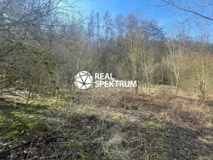 Prodej pole, Blansko, 23486 m2