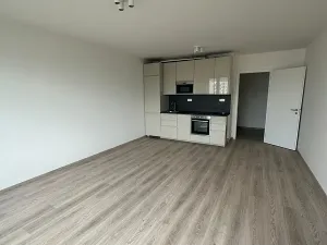 Pronájem bytu 2+kk, Praha - Holešovice, U Pergamenky, 54 m2