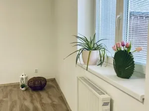 Prodej rodinného domu, Hronov, Husova, 140 m2