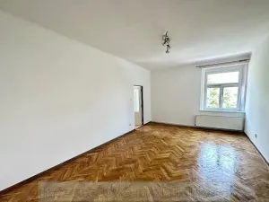 Pronájem bytu 1+1, Praha - Žižkov, U kněžské louky, 70 m2