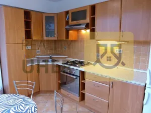 Pronájem bytu 1+1, Mladá Boleslav - Mladá Boleslav II, Tylova, 40 m2