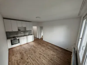 Prodej bytu 2+kk, Praha - Kamýk, Seidlova, 46 m2