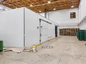 Prodej výrobních prostor, Kostelec nad Labem, Neratovická, 3457 m2