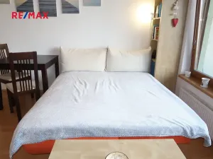 Pronájem bytu 1+kk, Praha - Hloubětín, Nepelova, 30 m2