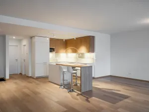 Pronájem bytu 4+kk, Praha - Smíchov, Holečkova, 178 m2