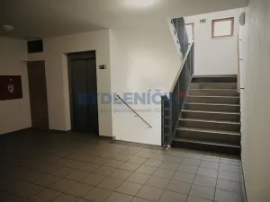 Pronájem bytu 2+kk, České Budějovice, U Lučního jezu, 61 m2