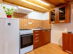 Pronájem bytu 1+kk, Praha - Žižkov, Sudoměřská, 28 m2