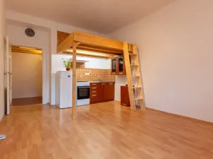 Pronájem bytu 1+kk, Praha - Žižkov, Sudoměřská, 28 m2