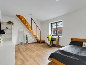 Prodej rodinného domu, Rudná, Dvořákova, 302 m2