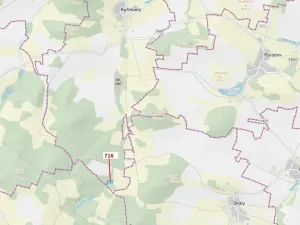 Dražba lesa, Kuřimany, 4499 m2