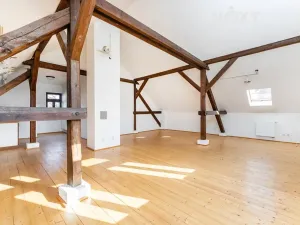 Prodej rodinného domu, Březno, 380 m2