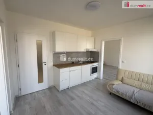 Pronájem bytu 2+1, Ústí nad Labem - Střekov, Purkyňova, 52 m2