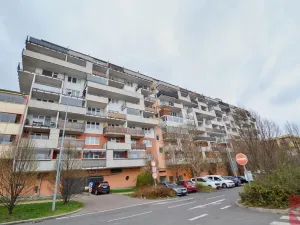 Prodej bytu 1+kk, Praha - Vysočany, Podkovářská, 39 m2