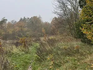 Prodej pozemku, Praha, 14747 m2