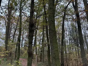 Prodej pozemku, Praha, 14747 m2