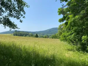 Prodej chaty, Třemešné, 80 m2