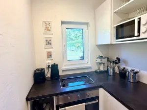 Prodej chaty, Třemešné, 80 m2