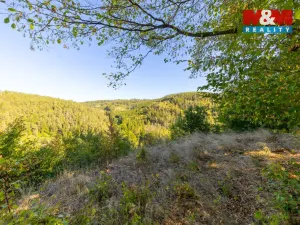 Prodej lesa, Lomnice, 7450 m2