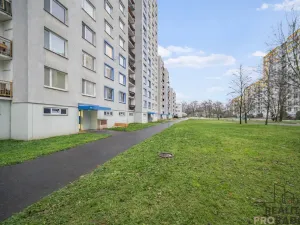 Pronájem bytu 2+kk, Pardubice - Polabiny, Lonkova, 46 m2