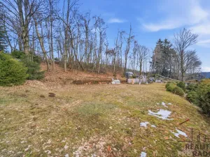 Prodej chalupy, Výprachtice, 80 m2