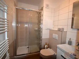 Pronájem bytu 1+1, Ostrava, Na Výspě, 40 m2