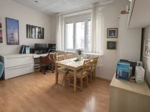 Pronájem bytu 2+1, Praha - Nusle, Dačického, 46 m2