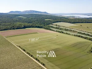 Prodej pole, Bulhary, 7380 m2