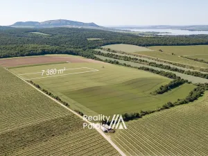 Prodej pole, Bulhary, 7380 m2