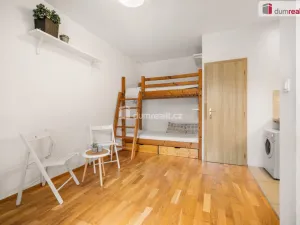 Prodej bytu 1+kk, Praha - Žižkov, Milíčova, 19 m2