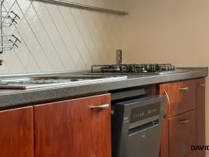 Pronájem bytu 1+kk, Brno - Veveří, Gorkého, 61 m2