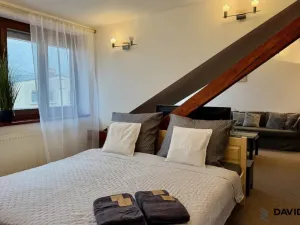 Pronájem bytu 1+kk, Brno - Veveří, Gorkého, 61 m2