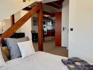 Pronájem bytu 1+kk, Brno - Veveří, Gorkého, 61 m2