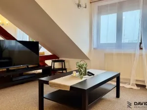 Pronájem bytu 1+kk, Brno - Veveří, Gorkého, 61 m2