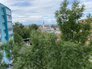 Pronájem bytu 3+1, Nový Jičín, Nerudova, 68 m2