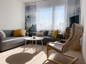 Prodej bytu 2+1, Plzeň, Toužimská, 46 m2