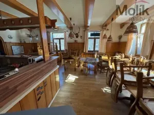 Prodej ubytování, Neuhausen/Erzgebirge, Deutschgeorgenthal, 1753 m2