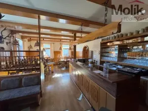 Prodej ubytování, Neuhausen/Erzgebirge, Deutschgeorgenthal, 1753 m2