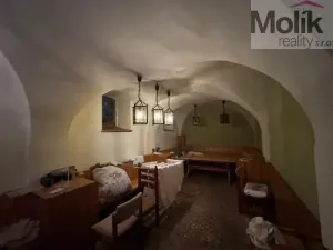 Prodej ubytování, Neuhausen/Erzgebirge, Deutschgeorgenthal, 1753 m2