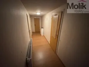 Prodej ubytování, Neuhausen/Erzgebirge, Deutschgeorgenthal, 1753 m2