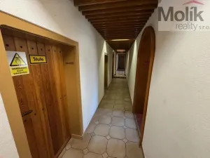 Prodej ubytování, Neuhausen/Erzgebirge, Deutschgeorgenthal, 1753 m2